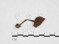 登錄號:F0025872藏品圖，第1張