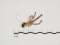 登錄號:F0025873藏品圖，第3張