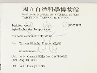 雲芝藏品圖，第2張
