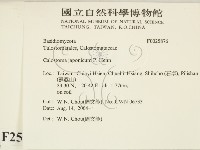 登錄號:F0025876藏品圖，第2張