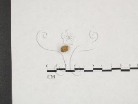 登錄號:F0025876藏品圖，第3張