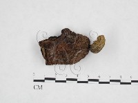 登錄號:F0025877藏品圖，第1張