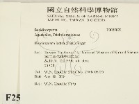 登錄號:F0025878藏品圖，第2張