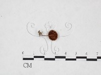 登錄號:F0025878藏品圖，第3張