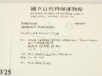 登錄號:F0025879藏品圖，第2張