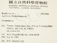 登錄號:F0025882藏品圖，第2張