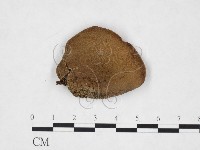 登錄號:F0025883藏品圖，第1張