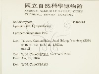 登錄號:F0025884藏品圖，第2張