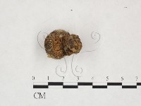 登錄號:F0025884藏品圖，第3張