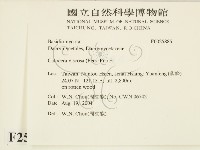 登錄號:F0025885藏品圖，第2張