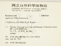 登錄號:F0025886藏品圖，第2張