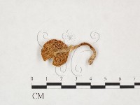 登錄號:F0025887藏品圖，第3張