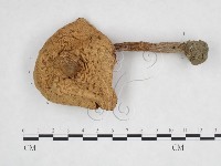 登錄號:F0025888藏品圖，第1張