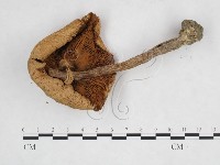 登錄號:F0025888藏品圖，第3張
