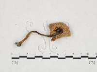 登錄號:F0025889藏品圖，第1張