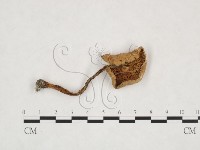 登錄號:F0025889藏品圖，第3張