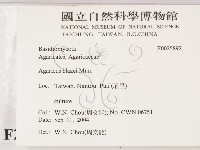 登錄號:F0025892藏品圖，第2張