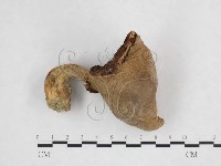 登錄號:F0025892藏品圖，第1張