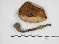 登錄號:F0025893藏品圖，第3張