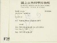 登錄號:F0025896藏品圖，第2張