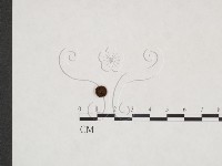 登錄號:F0025897藏品圖，第1張