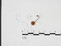 登錄號:F0025898藏品圖，第3張