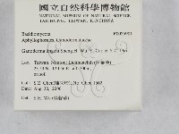 登錄號:F0025901藏品圖，第2張