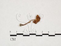登錄號:F0025903藏品圖，第3張