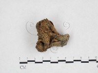登錄號:F0025905藏品圖，第3張
