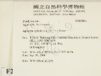 登錄號:F0025906藏品圖，第2張