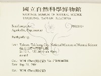 登錄號:F0025907藏品圖，第2張
