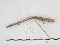 登錄號:F0025908藏品圖，第3張
