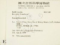 登錄號:F0025909藏品圖，第2張