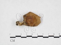 登錄號:F0025909藏品圖，第1張