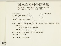 登錄號:F0025910藏品圖，第2張