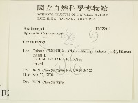 登錄號:F0025911藏品圖，第1張
