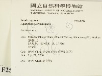 登錄號:F0025912藏品圖，第2張