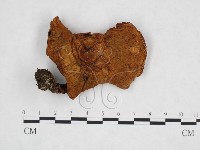 登錄號:F0025912藏品圖，第1張