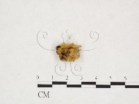登錄號:F0025913藏品圖，第1張