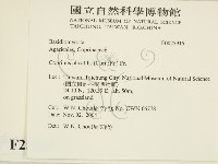 登錄號:F0025915藏品圖，第2張