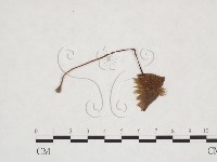 登錄號:F0025915藏品圖，第3張