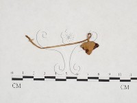 登錄號:F0025916藏品圖，第1張