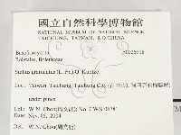 登錄號:F0025918藏品圖，第2張