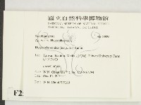 登錄號:F0025920藏品圖，第2張