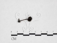 登錄號:F0025920藏品圖，第1張