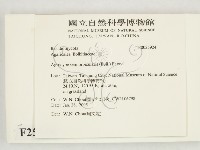 登錄號:F0025924藏品圖，第2張