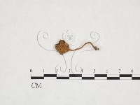 登錄號:F0025924藏品圖，第3張