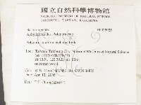 登錄號:F0025925藏品圖，第2張