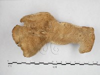 登錄號:F0025925藏品圖，第1張