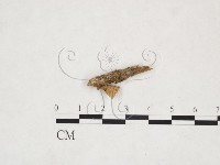 登錄號:F0025927藏品圖，第1張